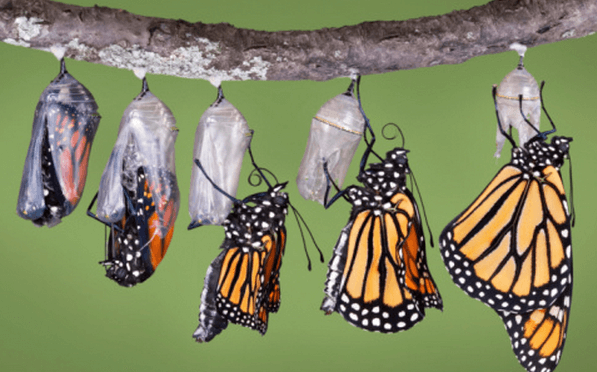 life-is-changing-growth