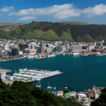 psychic-readings-online-wellington