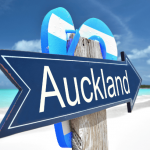 auckland-psychic-reeadings-online